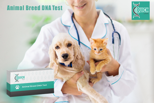 ¿Qué criterios se deben considerar al elegir una prueba de ADN en genética animal?