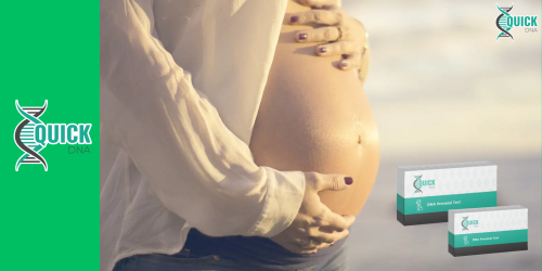 ¿Se puede realizar una prueba de paternidad prenatal durante el embarazo?